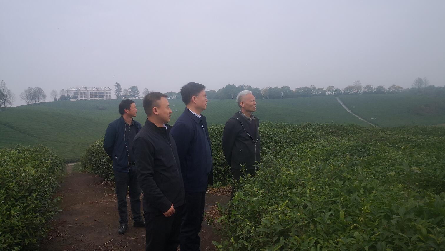 CQ9���ӡ�(�й�)Ψһ�ٷ���վ