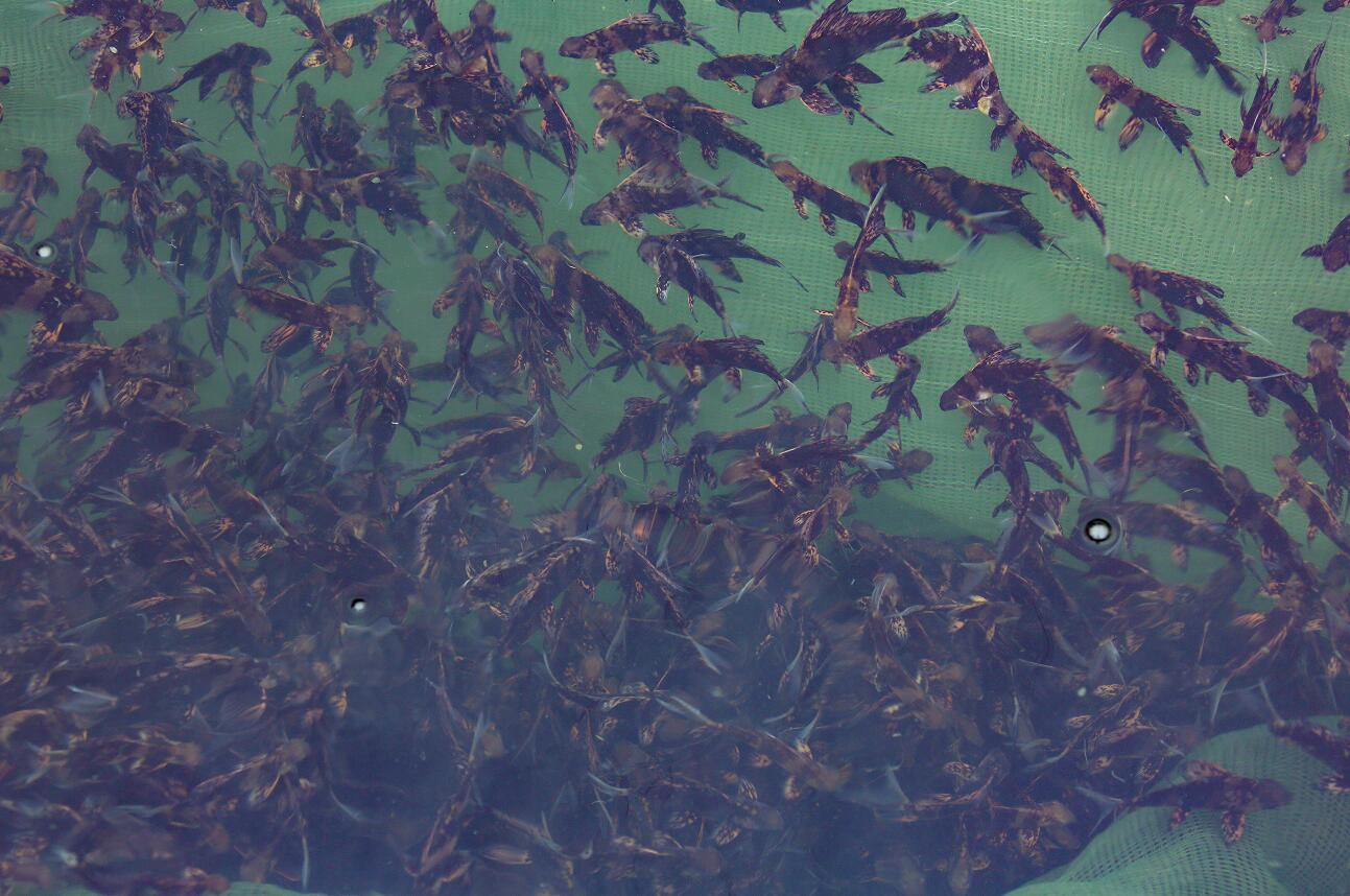 CQ9µç×Ó¡¤(Öйú)Ψһ¹Ù·½ÍøÕ¾