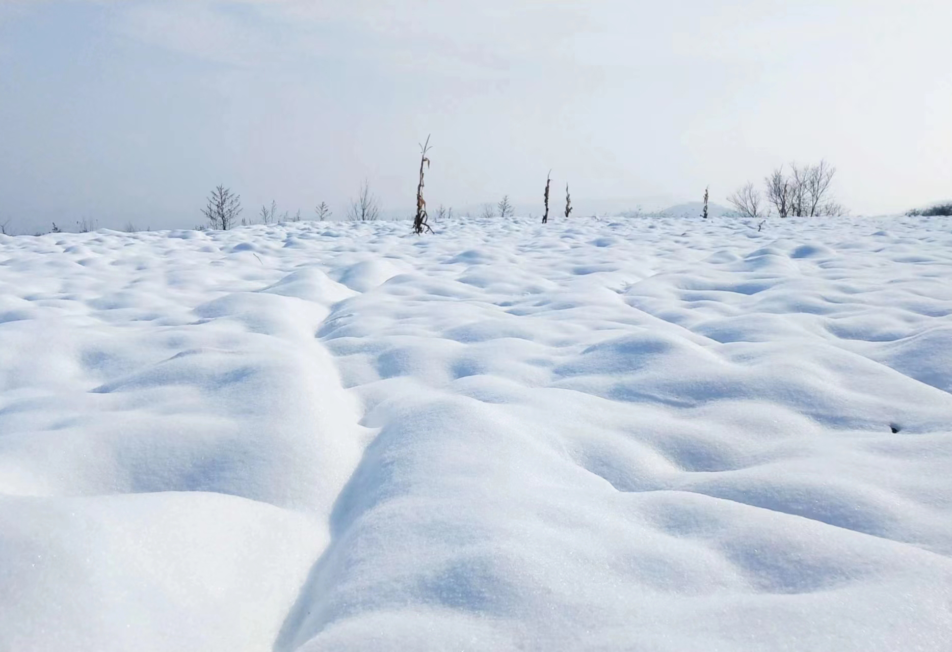 CQ9���ӡ�(�й�)Ψһ�ٷ���վ