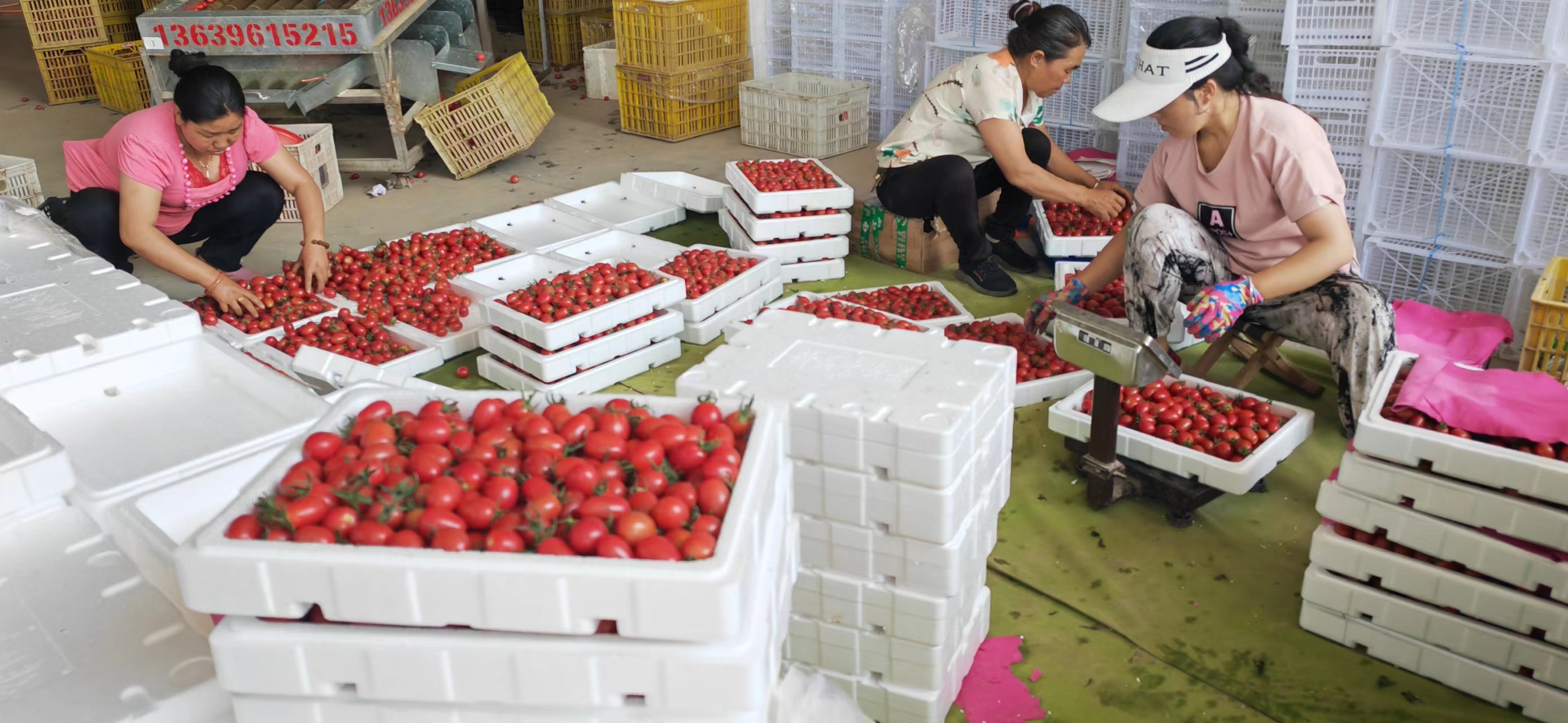 CQ9���ӡ�(�й�)Ψһ�ٷ���վ