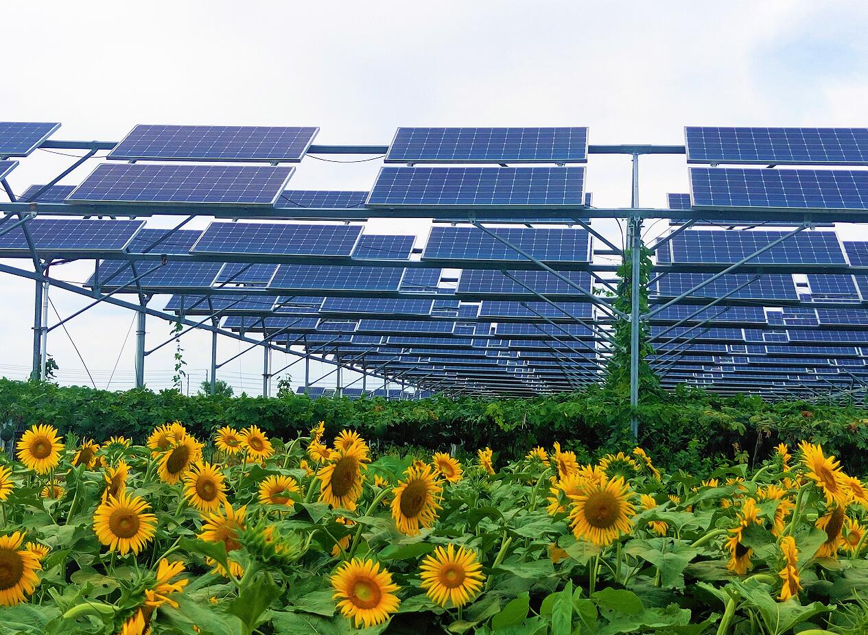 CQ9���ӡ�(�й�)Ψһ�ٷ���վ