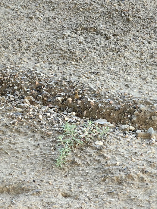 CQ9���ӡ�(�й�)Ψһ�ٷ���վ