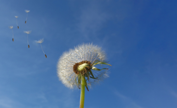 CQ9���ӡ�(�й�)Ψһ�ٷ���վ